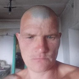 ����, �������, 39 ���