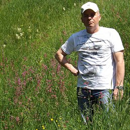 ��������, ����, 64 ����