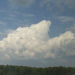 ���� �������, ��������, 38 ��� - ��������� 28 ���� 2023