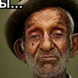 ������, ��������, 74 ����