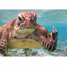 ������, ������, 27 ���