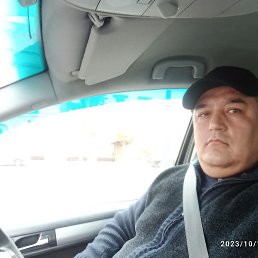 �����, ������, 40 ���