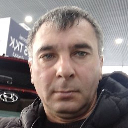 ������, ���������, 46 ���