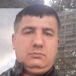 ������, ������, 37 ���