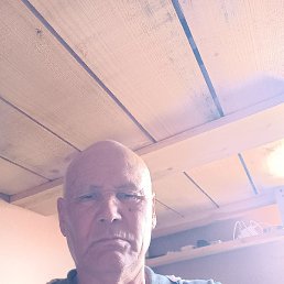 �����, �����-���������, 64 ����