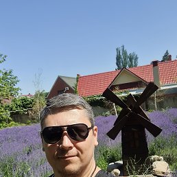 ���� ��������, ������, 43 ���� - ��������� 18 ������� 2023