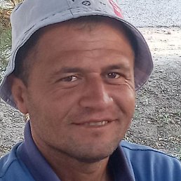 �����, �������, 37 ���