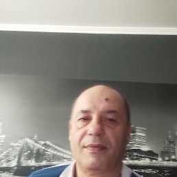 , 54 , 