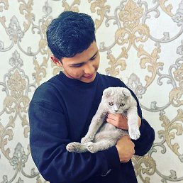 �������, �����������, 21 ���