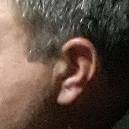 ������, ������, 44 ����