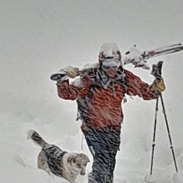  Bacho, , 40  -  11  2023