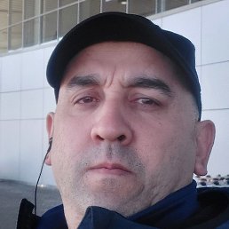 �����, �����-���������, 43 ����