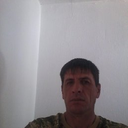 ���� ����, ���������, 49 ��� - ��������� 11 ������� 2023