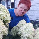 ���� �������, �����, 68 ��� - ��������� 11 �������� 2023 � ������ ���� ����������