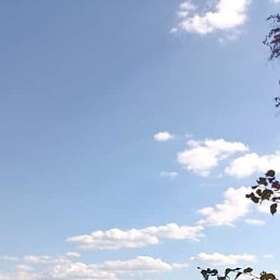 ������, ������, 60 ���