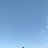 ���� ��������, �����-���������, 38 ��� - ��������� 7 ���� 2023