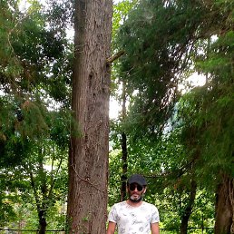 Rauli, �����������, 43 ����