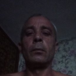 �����, �������, 46 ���