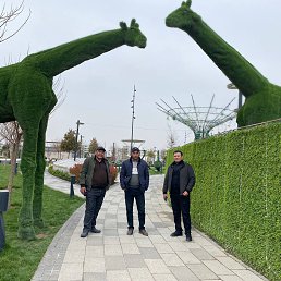 ���� ������, �����, 46 ��� - ��������� 24 ������� 2023