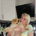 ���� ��������, ������, 49 ��� - ��������� 28 ������� 2023