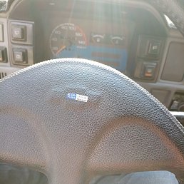 Muhammad, �������, 31 ���