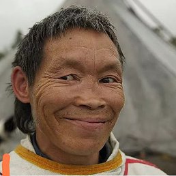 �����, ������, 35 ���