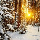 ���� Lari�a, ������, 65 ��� - ��������� 1 ������ 2023