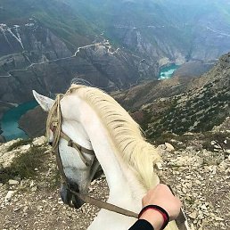 �����, ������, 37 ���