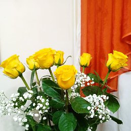 ���� �����, ������, 47 ��� - ��������� 17 ������� 2023