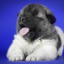 ���� �����, ������ - ��������� 27 ������� 2023 � ������ ���� ����������