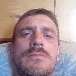 ����, �����-���������, 40 ���