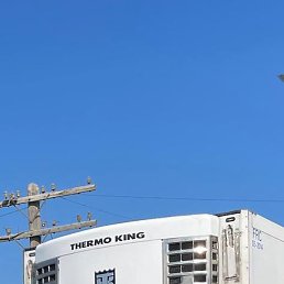 ���, ������, 38 ���