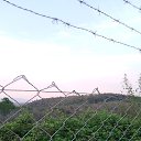 ���� Talip, ������, 51 ��� - ��������� 8 ��� 2023 � ������ ���� ����������