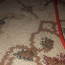 ������, �����, 51 ���