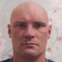 ����������, �����������, 46 ���