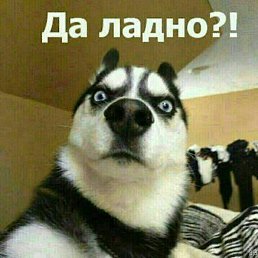 �������, ������, 39 ���