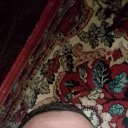 ���� �����, ������, 52 ���� - ��������� 21 �������� 2023 � ������ ���� ����������
