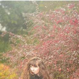 �����, �����������, 38 ���