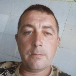 ˸��, �������, 46 ���