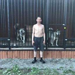 �������, �����������, 52 ����