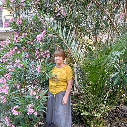 �������, ����, 71 ���