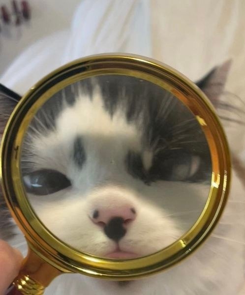          )