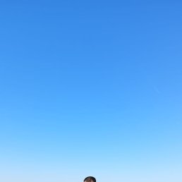 �������, �����, 40 ���