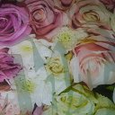 ���� �����, ������������, 46 ��� - ��������� 11 ���� 2023