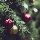 ���� ������, ���������, 48 ��� - ��������� 5 ����� 2023