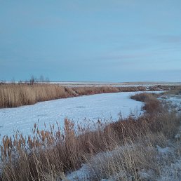 ���� �����, ������, 58 ��� - ��������� 16 �������� 2023