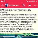 ���� ������� �������, ������, 52 ���� - ��������� 1 ������ 2023 � ������ ���� ����������