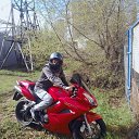 ���� ������, �������, 36 ��� - ��������� 4 �������� 2023 � ������ ���� ����������