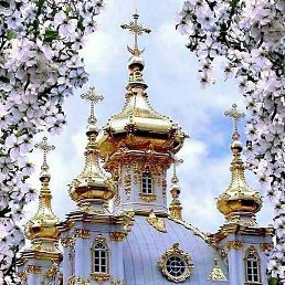 ���������, �����, 61 ���