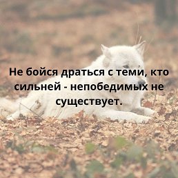 ���� �����, �������, 48 ��� - ��������� 23 ������� 2023